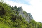 2014-07-05_Laengental-N-Hochweg (800). JPG